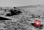 Immagine di Aerei tedeschi Sevastopol Ucraina Unione Sovietica, 1942, secondo 49 filmato di repertorio 65675053086