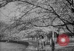 Image of Washington Monument Washington DC USA, 1936, second 24 stock footage video 65675053095