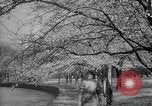 Image of Washington Monument Washington DC USA, 1936, second 25 stock footage video 65675053095
