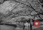 Image of Washington Monument Washington DC USA, 1936, second 26 stock footage video 65675053095