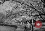 Image of Washington Monument Washington DC USA, 1936, second 27 stock footage video 65675053095