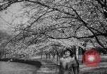 Image of Washington Monument Washington DC USA, 1936, second 28 stock footage video 65675053095