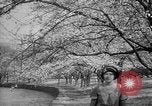 Image of Washington Monument Washington DC USA, 1936, second 30 stock footage video 65675053095