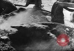 Image of Conditions spawning Marshall Plan Paris France, 1947, second 41 stock footage video 65675053100