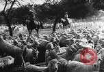 Image of Conditions spawning Marshall Plan Paris France, 1947, second 42 stock footage video 65675053100