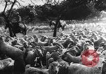 Image of Conditions spawning Marshall Plan Paris France, 1947, second 43 stock footage video 65675053100