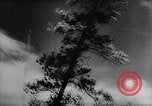 Image of Conditions spawning Marshall Plan Paris France, 1947, second 44 stock footage video 65675053100