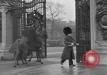 Standbild gun Crews von Pembrook und ausgezeichnet London England Vereinigtes Königreich, 1936, aus Sekunde 31 historischem Filmmaterial Videoclip 65675053126
