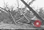 Standbild Wracks von Flugzeugen Petersfield Hampshire Vereinigtes Königreich, 1936, aus Sekunde 6 historischem Filmmaterial Videoclip 65675053127