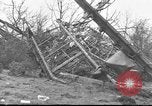 Standbild Wracks von Flugzeugen Petersfield Hampshire Vereinigtes Königreich, 1936, aus Sekunde 8 historischem Filmmaterial Videoclip 65675053127