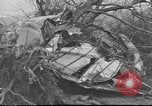 Standbild Wracks von Flugzeugen Petersfield Hampshire Vereinigtes Königreich, 1936, aus Sekunde 15 historischem Filmmaterial Videoclip 65675053127