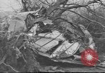 Standbild Wracks von Flugzeugen Petersfield Hampshire Vereinigtes Königreich, 1936, aus Sekunde 16 historischem Filmmaterial Videoclip 65675053127