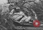 Standbild Wracks von Flugzeugen Petersfield Hampshire Vereinigtes Königreich, 1936, aus Sekunde 17 historischem Filmmaterial Videoclip 65675053127