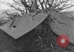 Standbild Wracks von Flugzeugen Petersfield Hampshire Vereinigtes Königreich, 1936, aus Sekunde 25 historischem Filmmaterial Videoclip 65675053127