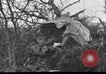 Standbild Wracks von Flugzeugen Petersfield Hampshire Vereinigtes Königreich, 1936, aus Sekunde 27 historischem Filmmaterial Videoclip 65675053127