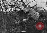 Standbild Wracks von Flugzeugen Petersfield Hampshire Vereinigtes Königreich, 1936, aus Sekunde 28 historischem Filmmaterial Videoclip 65675053127