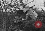 Standbild Wracks von Flugzeugen Petersfield Hampshire Vereinigtes Königreich, 1936, aus Sekunde 30 historischem Filmmaterial Videoclip 65675053127