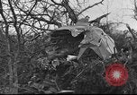 Standbild Wracks von Flugzeugen Petersfield Hampshire Vereinigtes Königreich, 1936, aus Sekunde 31 historischem Filmmaterial Videoclip 65675053127