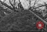 Standbild Wracks von Flugzeugen Petersfield Hampshire Vereinigtes Königreich, 1936, aus Sekunde 35 historischem Filmmaterial Videoclip 65675053127