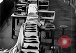 Image of crowd France, 1936, second 50 stock footage video 65675053134