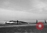 Standbild tot beached Whale United States USA, 1936, aus Sekunde 4 historischem Filmmaterial Videoclip 65675053140