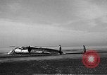 Standbild tot beached Whale United States USA, 1936, aus Sekunde 7 historischem Filmmaterial Videoclip 65675053140
