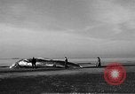 Standbild tot beached Whale United States USA, 1936, aus Sekunde 8 historischem Filmmaterial Videoclip 65675053140
