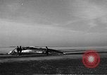 Standbild tot beached Whale United States USA, 1936, aus Sekunde 13 historischem Filmmaterial Videoclip 65675053140