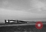 Standbild tot beached Whale United States USA, 1936, aus Sekunde 14 historischem Filmmaterial Videoclip 65675053140