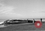 Standbild tot beached Whale United States USA, 1936, aus Sekunde 15 historischem Filmmaterial Videoclip 65675053140