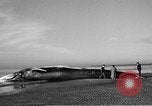 Standbild tot beached Whale United States USA, 1936, aus Sekunde 16 historischem Filmmaterial Videoclip 65675053140