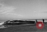 Standbild tot beached Whale United States USA, 1936, aus Sekunde 17 historischem Filmmaterial Videoclip 65675053140