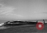 Standbild tot beached Whale United States USA, 1936, aus Sekunde 21 historischem Filmmaterial Videoclip 65675053140