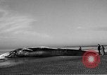 Standbild tot beached Whale United States USA, 1936, aus Sekunde 22 historischem Filmmaterial Videoclip 65675053140
