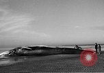 Standbild tot beached Whale United States USA, 1936, aus Sekunde 23 historischem Filmmaterial Videoclip 65675053140