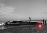 Standbild tot beached Whale United States USA, 1936, aus Sekunde 26 historischem Filmmaterial Videoclip 65675053140