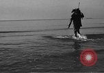 Standbild tot beached Whale United States USA, 1936, aus Sekunde 57 historischem Filmmaterial Videoclip 65675053140