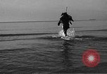 Standbild tot beached Whale United States USA, 1936, aus Sekunde 58 historischem Filmmaterial Videoclip 65675053140