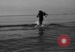 Standbild tot beached Whale United States USA, 1936, aus Sekunde 59 historischem Filmmaterial Videoclip 65675053140