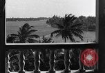 Image of Duke and Duchess of Windsor Miami Florida USA, 1940, second 11 stock footage video 65675053150