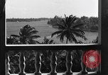 Image of Duke and Duchess of Windsor Miami Florida USA, 1940, second 16 stock footage video 65675053150