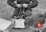Image of Spitfire airplanes readied for combat United Kingdom, 1940, second 37 stock footage video 65675053155