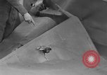 Image abattu allemand Messerschmidt Royaume-Uni, 1940, de la seconde 25 séquences d'archives historiques vidéo 65675053157