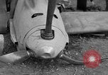 Image abattu allemand Messerschmidt Royaume-Uni, 1940, de la seconde 29 séquences d'archives historiques vidéo 65675053157