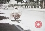 Standbild Tier Wirtschaft Marokko Nordafrika, 1944, aus Sekunde 20 historischem Filmmaterial Videoclip 65675053172