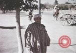 Standbild Tier Wirtschaft Marokko Nordafrika, 1944, aus Sekunde 38 historischem Filmmaterial Videoclip 65675053172