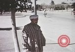 Standbild Tier Wirtschaft Marokko Nordafrika, 1944, aus Sekunde 42 historischem Filmmaterial Videoclip 65675053172