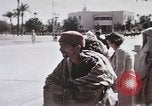 Standbild Tier Wirtschaft Marokko Nordafrika, 1944, aus Sekunde 50 historischem Filmmaterial Videoclip 65675053172