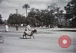 Standbild Tier Wirtschaft Marokko Nordafrika, 1944, aus Sekunde 52 historischem Filmmaterial Videoclip 65675053172
