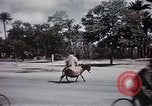 Standbild Tier Wirtschaft Marokko Nordafrika, 1944, aus Sekunde 54 historischem Filmmaterial Videoclip 65675053172